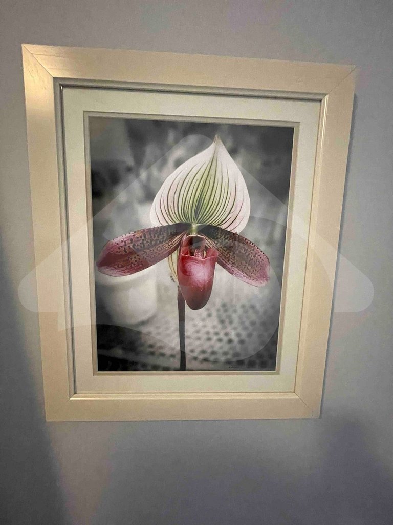 2 min from Copacabana Beach | Renovated and Cozy